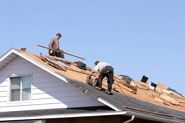 Best Storm Damage Roof Repair  in Kentwood, MI